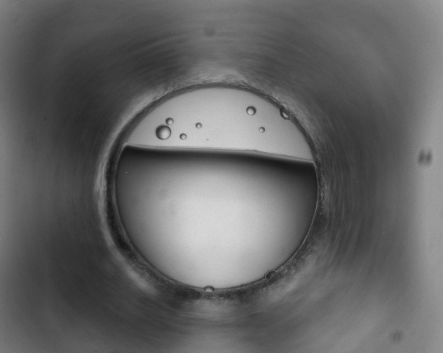 X0000103400630200809120925
