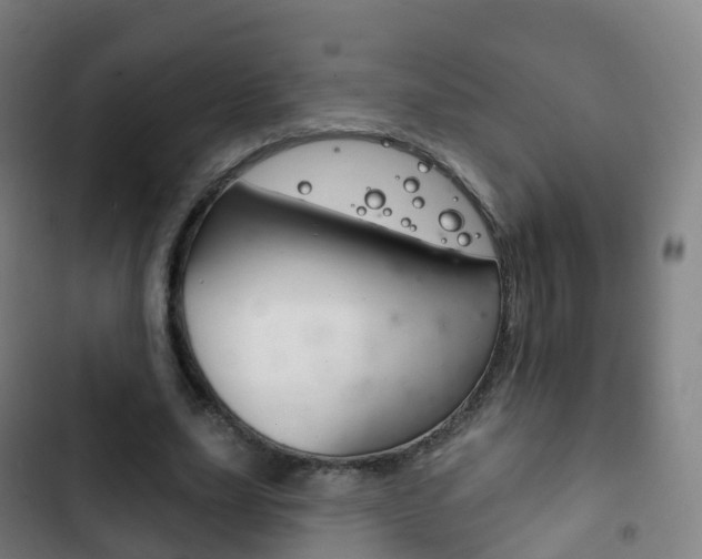 X0000103400631200809120925