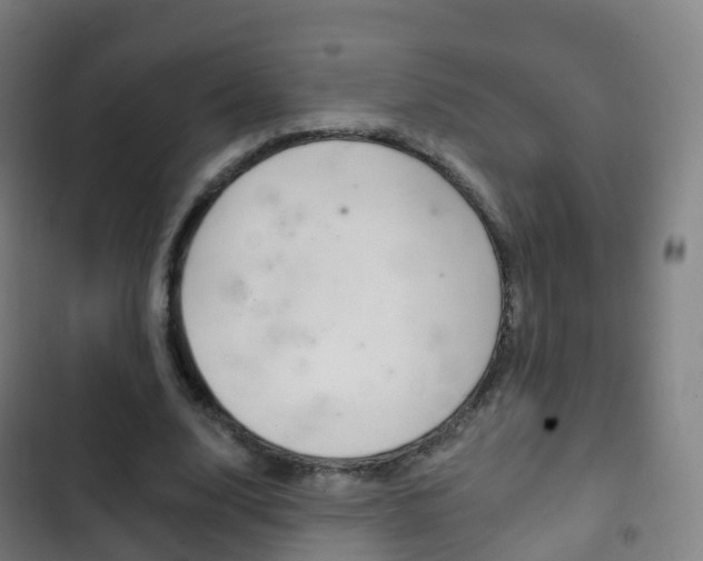 X0000103400632200809120925