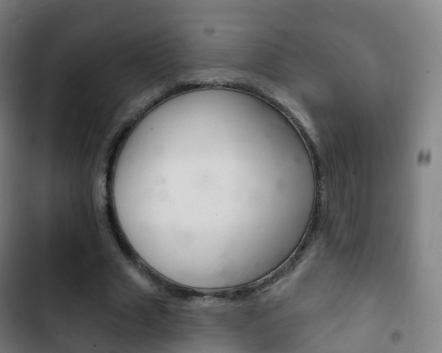 X0000103400633200809120925