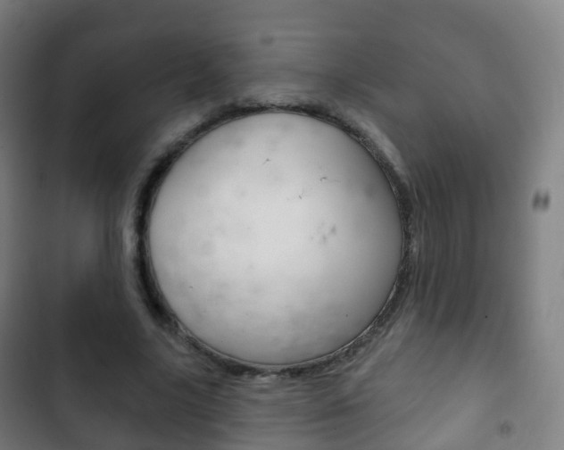 X0000103400635200809120925