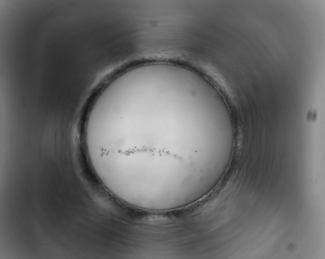 X0000103400636200809120925