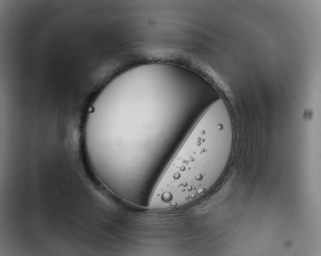 X0000103400637200809120925