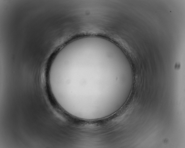 X0000103400638200809120925
