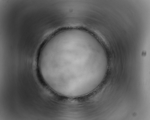 X0000103400640200809120925