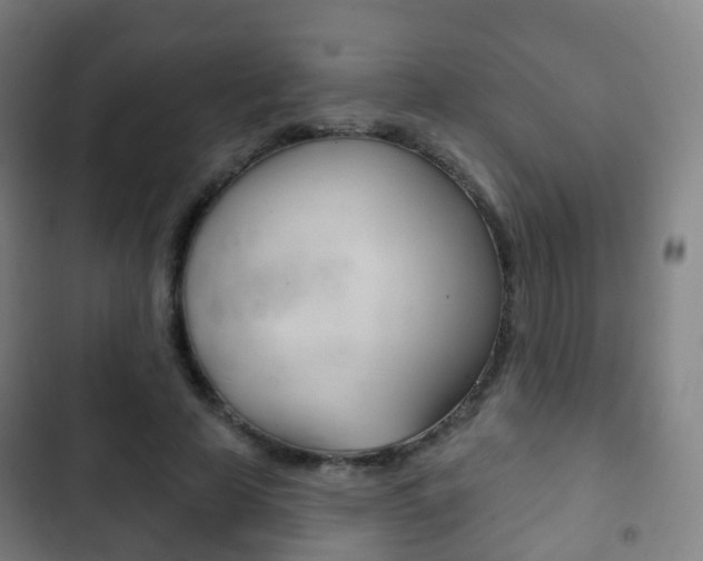 X0000103400641200809120925