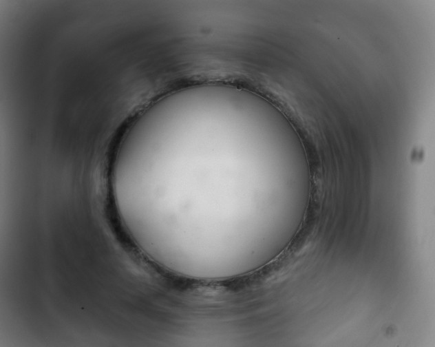 X0000103400642200809120925