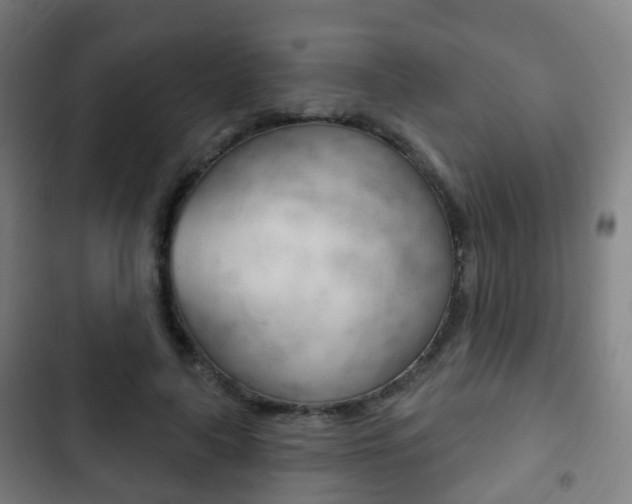 X0000103400643200809120925