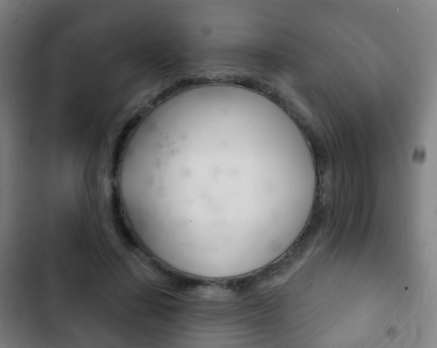 X0000103400644200809120925