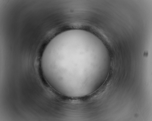 X0000103400645200809120925