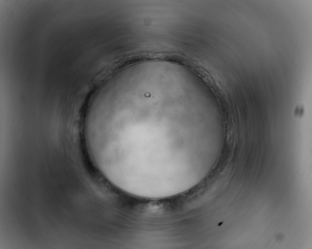 X0000103400647200809120925