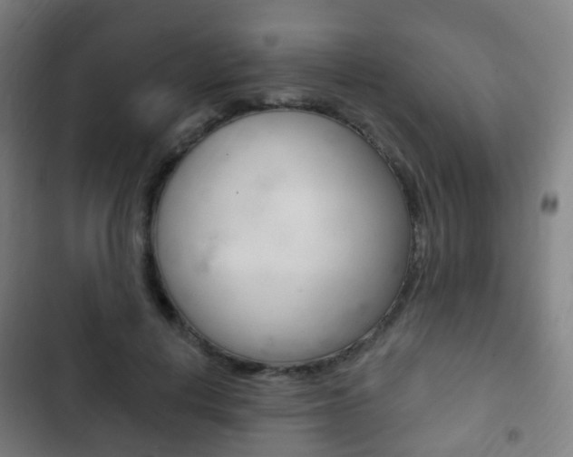 X0000103400648200809120925