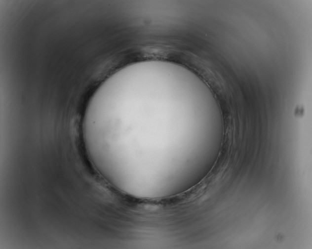 X0000103400649200809120925