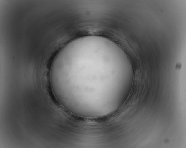 X0000103400650200809120925