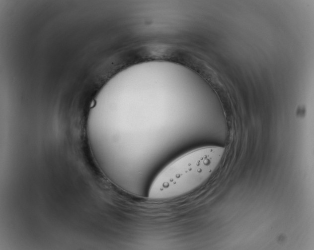 X0000103400651200809120925