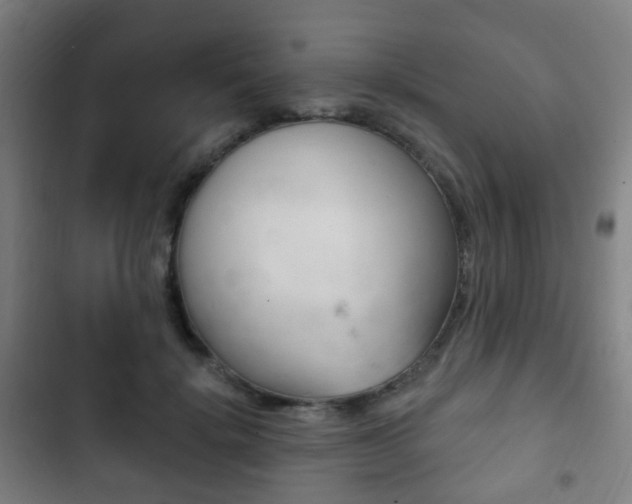 X0000103400652200809120925