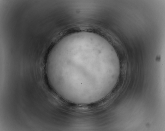 X0000103400653200809120925