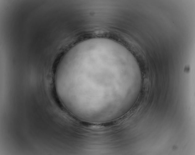 X0000103400654200809120925