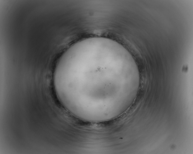 X0000103400656200809120925