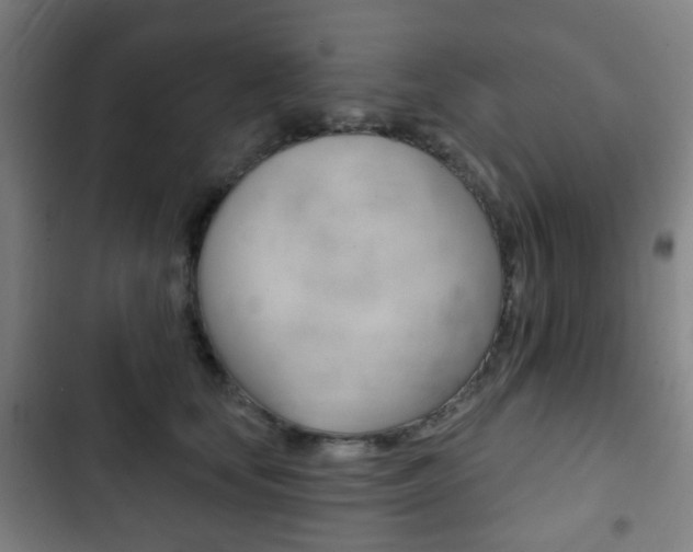 X0000103400659200809120925