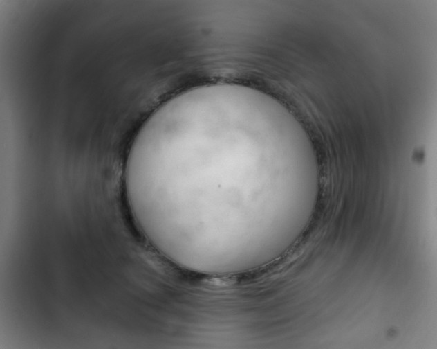 X0000103400660200809120925