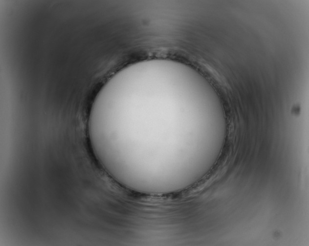 X0000103400661200809120925