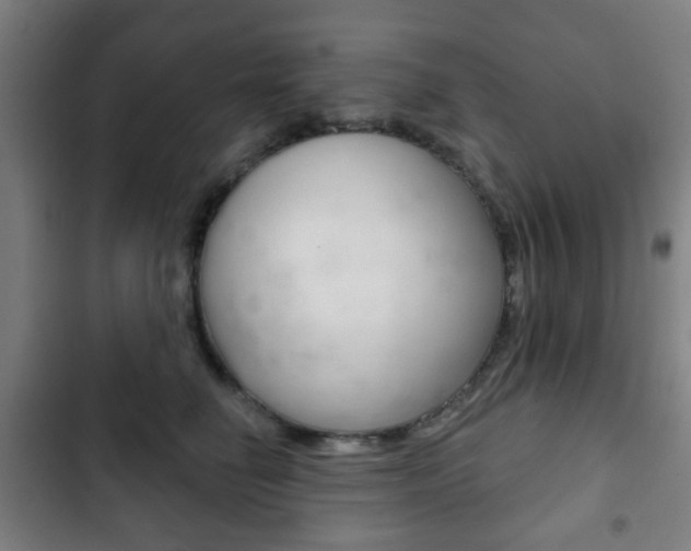 X0000103400662200809120925