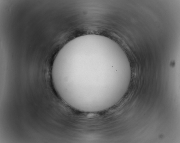 X0000103400663200809120925