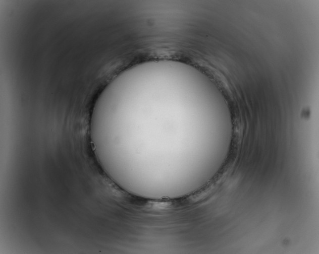 X0000103400665200809120925