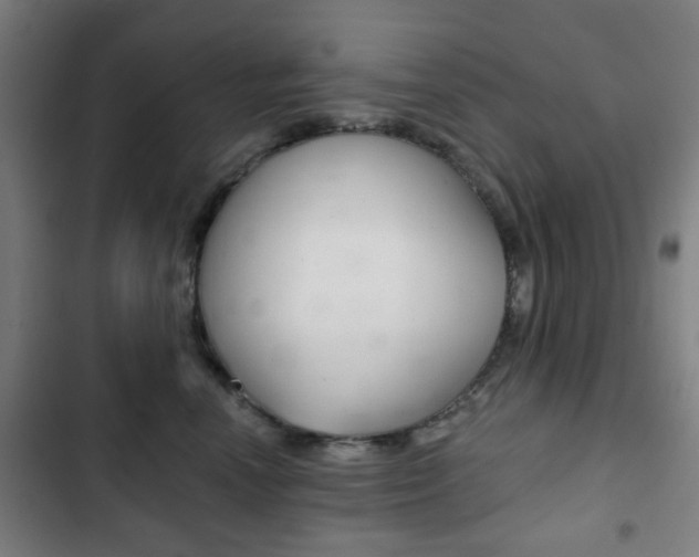 X0000103400666200809120925