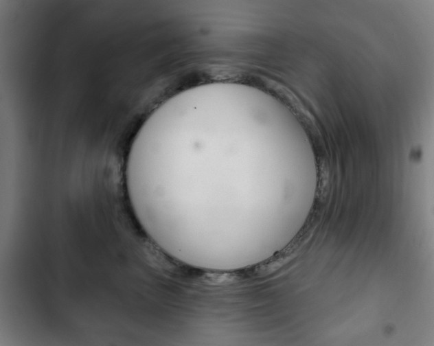 X0000103400667200809120925