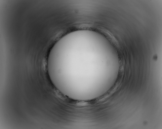 X0000103400669200809120925