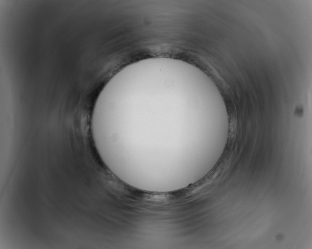 X0000103400671200809120925