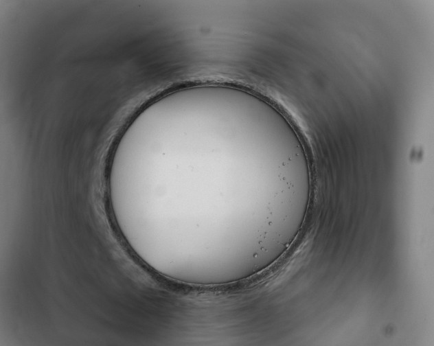 X0000103400673200809120924