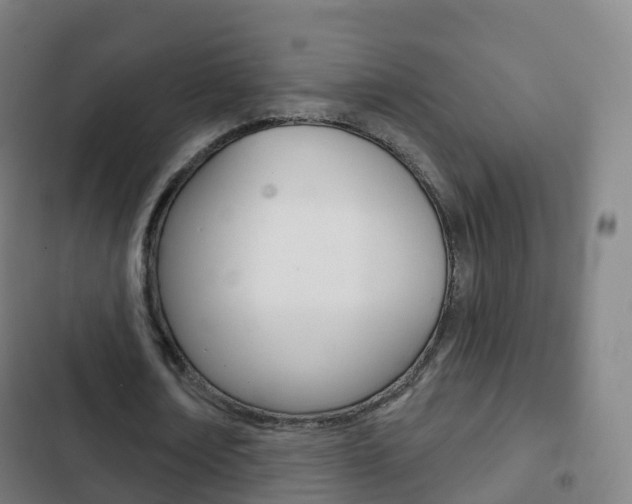 X0000103400674200809120924