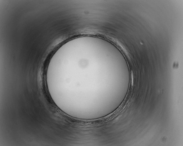 X0000103400675200809120924