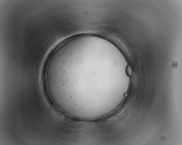 X0000103400676200809120924