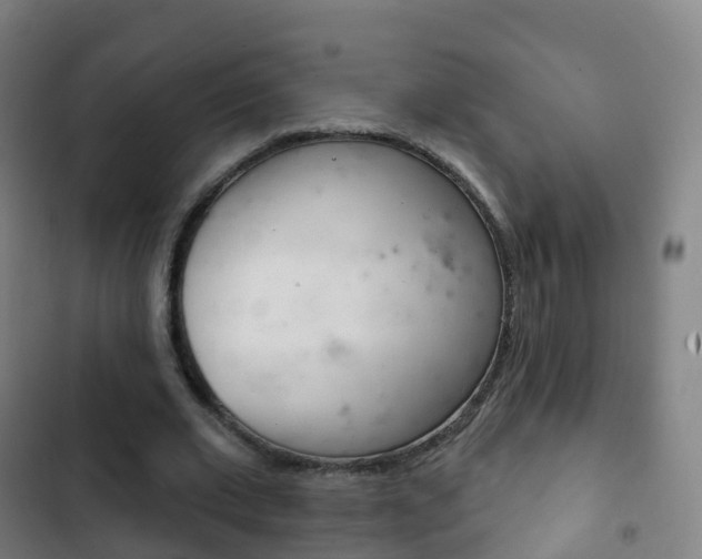 X0000103400677200809120924