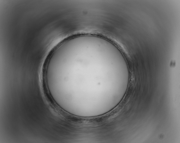 X0000103400678200809120924