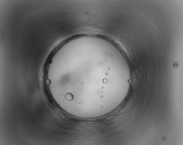 X0000103400679200809120924