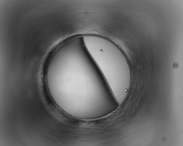 X0000103400680200809120924