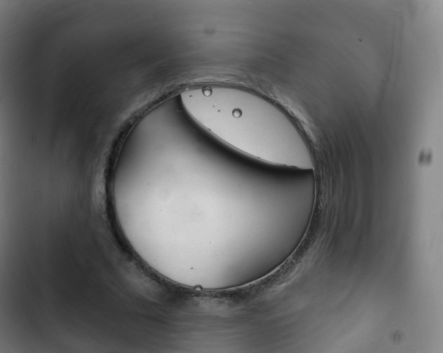 X0000103400681200809120924