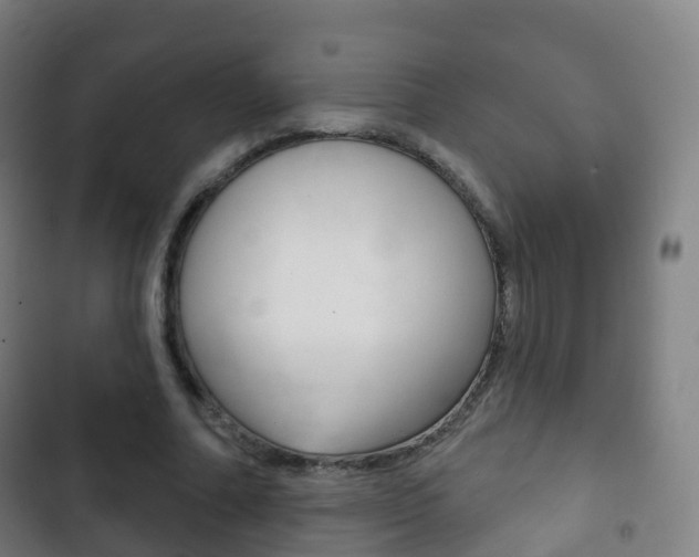 X0000103400682200809120924