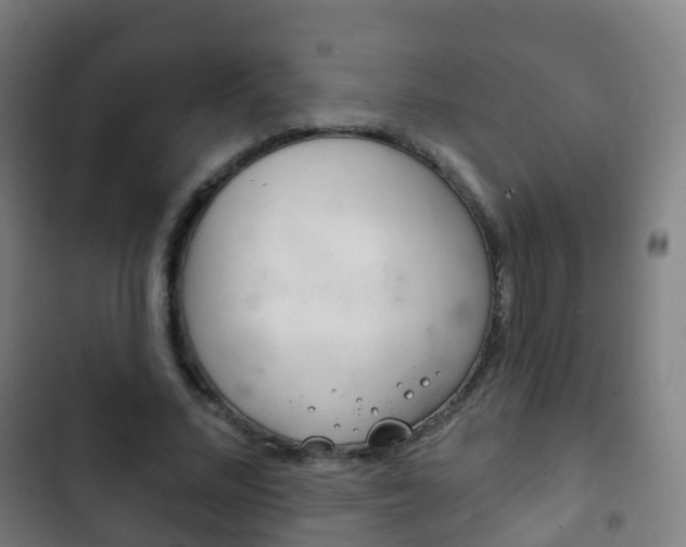X0000103400684200809120924