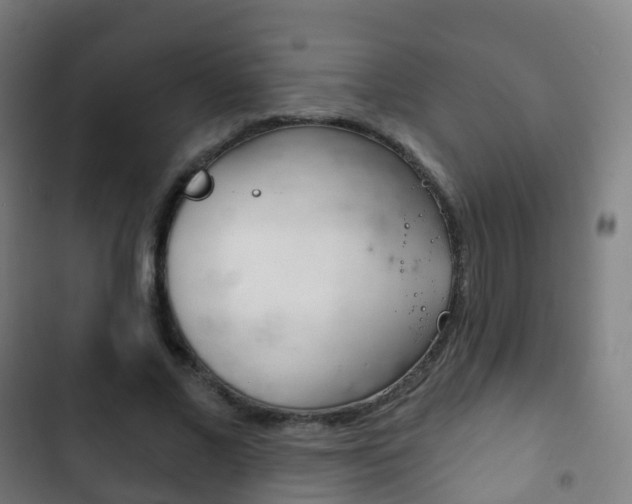X0000103400685200809120924