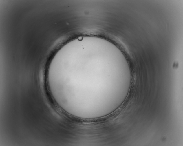 X0000103400686200809120924