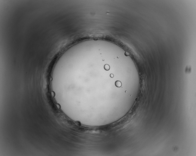 X0000103400687200809120924