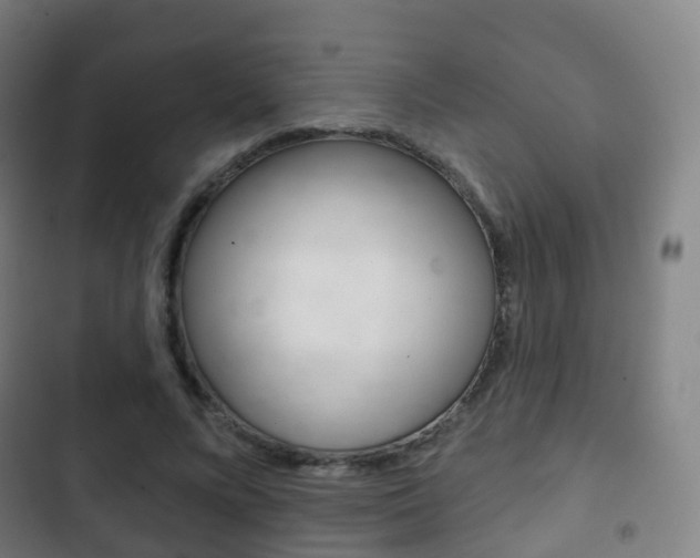 X0000103400688200809120924