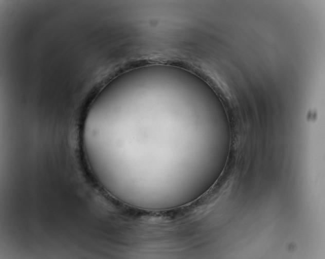 X0000103400689200809120924