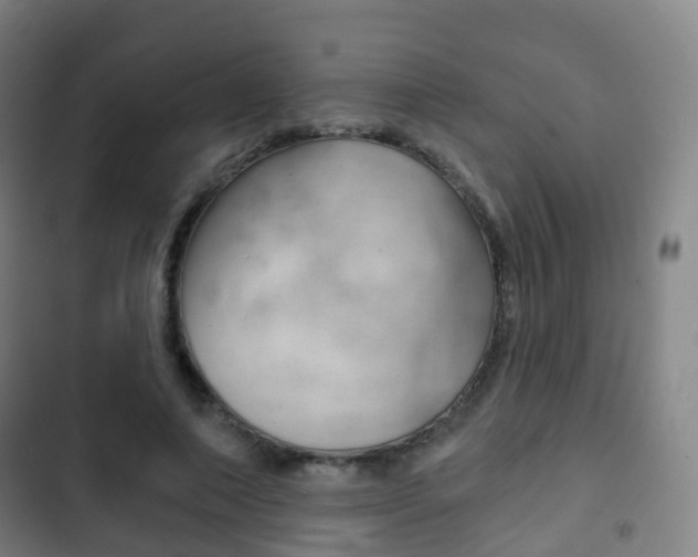 X0000103400690200809120924
